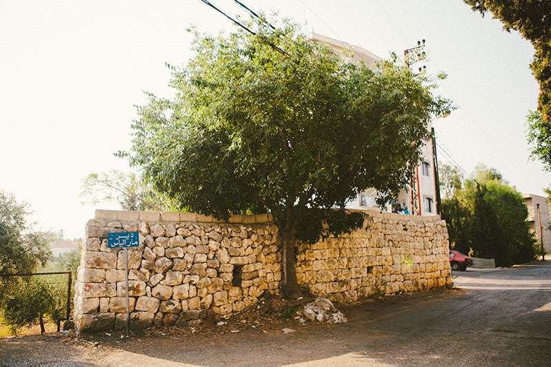 Travel Diary: Photographs of Hamat, Lebanon From My July, 2010 Trip ...
